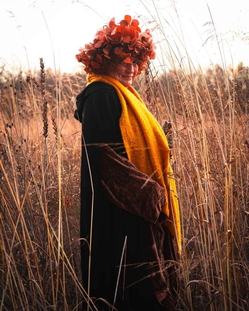 best-locations-for-moose-and-deer-photography-in-Canada