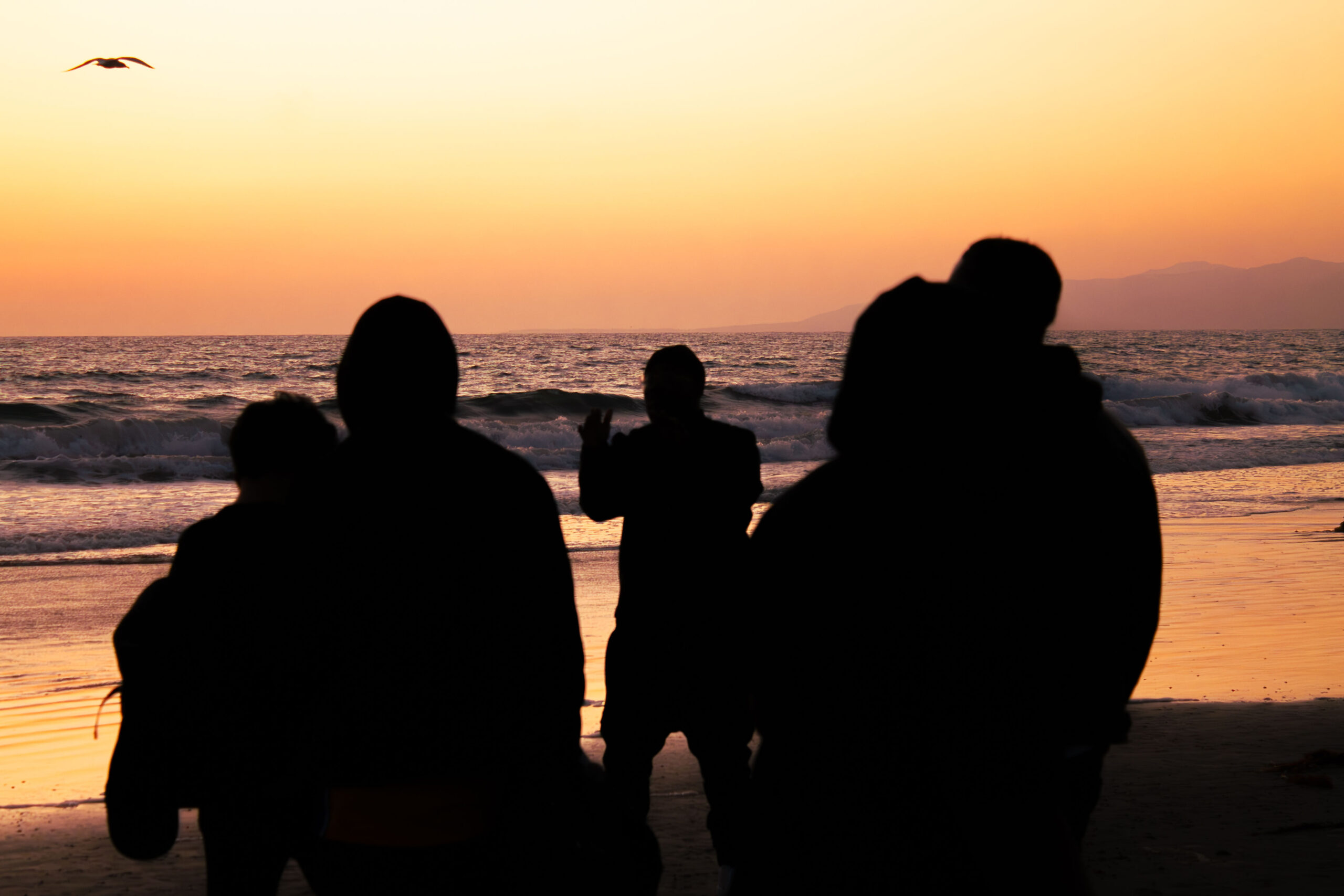 Cinematic silhouettes of a group of friends standing on a beach at sunset with a bird flying in the golden and purple sky.