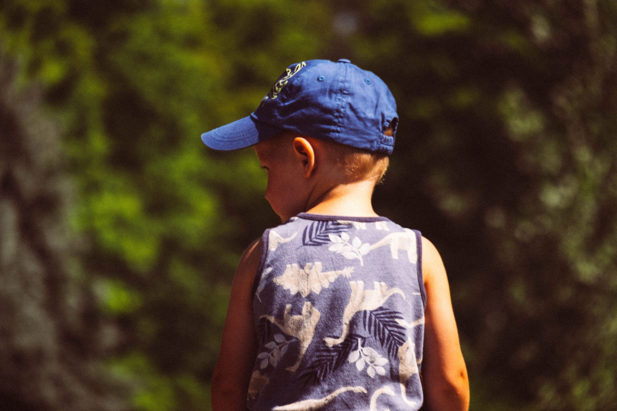 View from behind of a young boy wearing a blue baseball cap and a dinosaur-patterned tank top, looking out toward a vibrant, blurred green background.